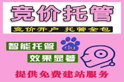 百度推广托管实战案例深度分析
